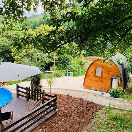 Gallas Pod House Vouzela Εξωτερικό φωτογραφία