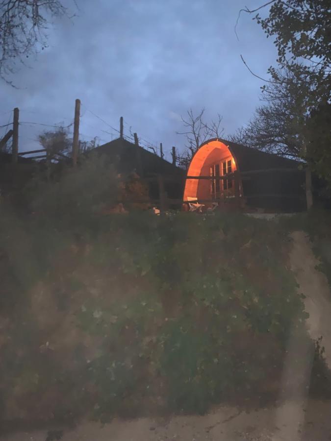 Gallas Pod House Vouzela Εξωτερικό φωτογραφία