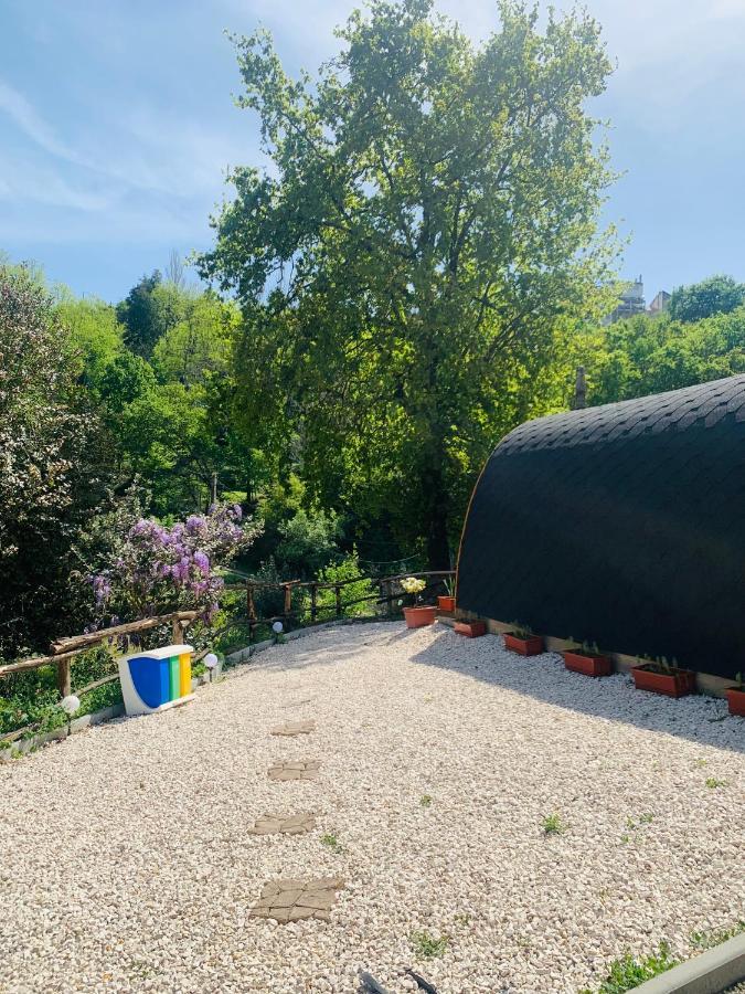 Gallas Pod House Vouzela Εξωτερικό φωτογραφία